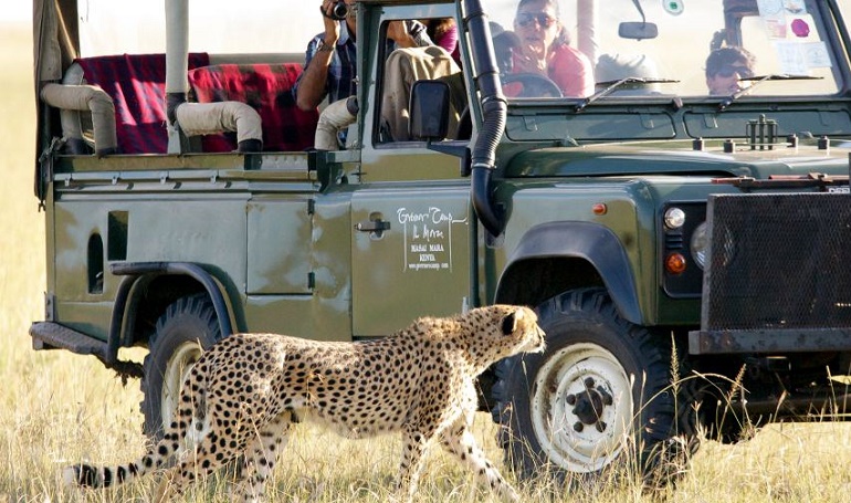 Copy of Copy of Cheetah and Car 1